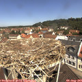 11_25-nest.jpg