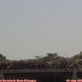 11_55-mast.jpg