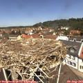 12_15-nest.jpg