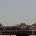 12_55-mast.jpg
