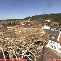 13_00-nest.jpg