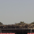 13_05-mast.jpg