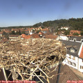 13_10-nest.jpg