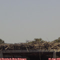 13_15-mast.jpg