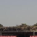 13_20-mast.jpg