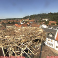 13_25-nest.jpg