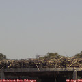 13_35-mast.jpg