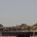 13_40-mast.jpg