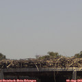 13_45-mast.jpg