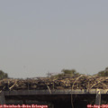14_00-mast.jpg