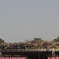 14_30-mast.jpg