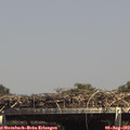 14_50-mast.jpg