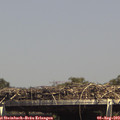 15_00-mast.jpg
