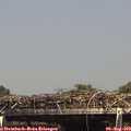 15_05-mast.jpg