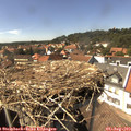 15_10-nest.jpg