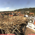 15_35-nest.jpg