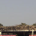 15_40-mast.jpg
