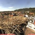 15_55-nest.jpg