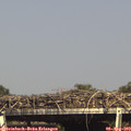 16_15-mast.jpg