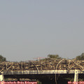 16_35-mast.jpg