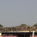 16_40-mast.jpg
