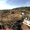 17_15-nest.jpg