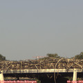 17_55-mast.jpg