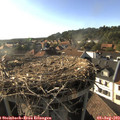 18_10-nest.jpg