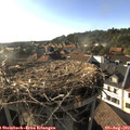 18_15-nest.jpg