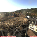 18_25-nest.jpg