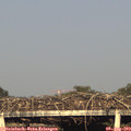 19_05-mast.jpg