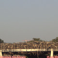 19_30-mast.jpg