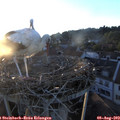 20_15-nest.jpg