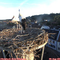 06_35-nest.jpg