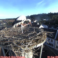 07_20-nest.jpg
