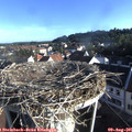 07_45-nest.jpg