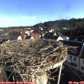 07_50-nest.jpg
