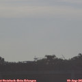 07_55-mast.jpg