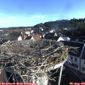 07_55-nest.jpg