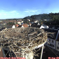 08_00-nest.jpg