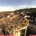 08_05-nest.jpg