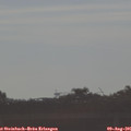 08_10-mast.jpg