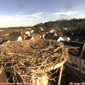 08_10-nest.jpg