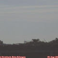08_15-mast.jpg