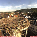 08_15-nest.jpg