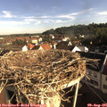 08_20-nest.jpg