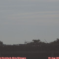 08_25-mast.jpg