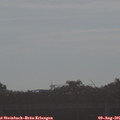 08_30-mast.jpg