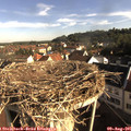 08_30-nest.jpg