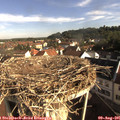 08_40-nest.jpg